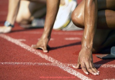 球友体育直播-火箭队纪录片推荐与球迷必看内容